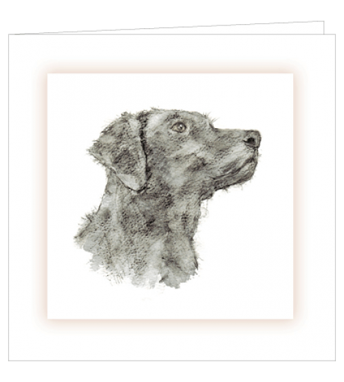 ***REDUCED PRICE*** Sympathy Cards (Mixed Canine)