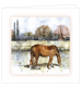 ***REDUCED PRICE*** Sympathy Cards (Mixed Equine)