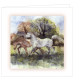 ***REDUCED PRICE*** Sympathy Cards (Mixed Equine)